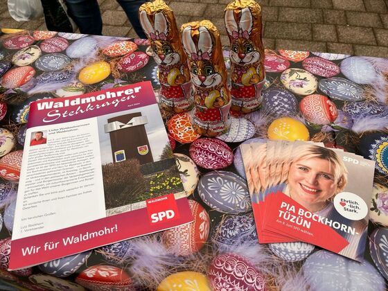 Bild vom Wahlstand